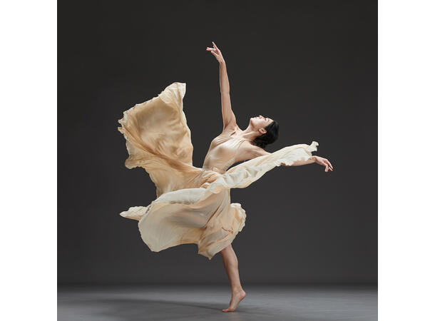 Godox Witstro AD600Pro II TTL Flash Batteridreven Studioblits 600Ws HSS TTL 