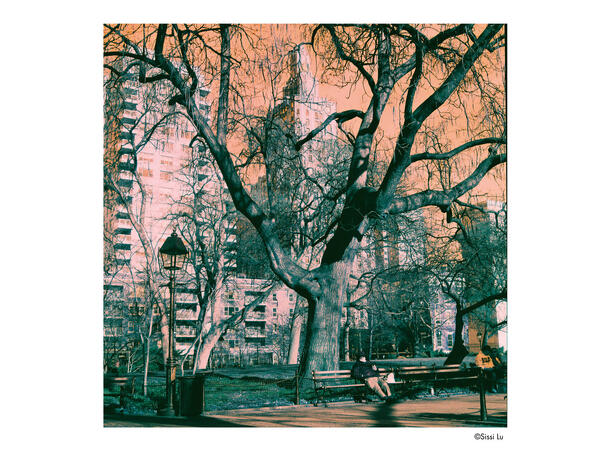 Harman Switch Azure ISO 125 135-36 Eksperimentell film, 125 ASA, 36 bilder 