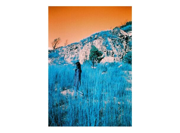 Lomography LomoChrome Turquoise 120 XR 100-400, Negativ fargefilm, 2021 ver. 