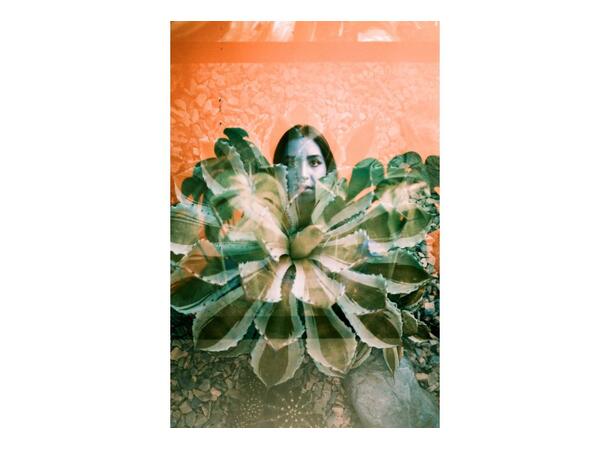 Lomography LomoChrome Turquoise 120 XR 100-400, Negativ fargefilm, 2021 ver. 