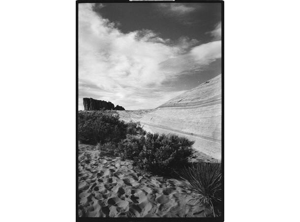 OptiMono 100 135-36 S/H-film. ISO 100. 36 eksponeringer 