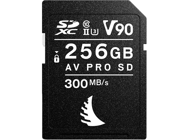 Angelbird AV PRO SD MK2 256GB V90 