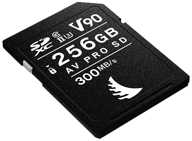 Angelbird AV PRO SD MK2 256GB V90 