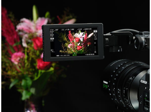 Fujifilm GFX Eterna 55 