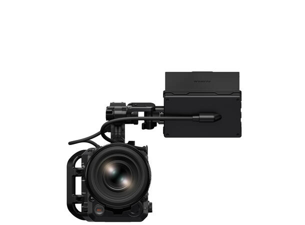 Fujifilm GFX Eterna 55 