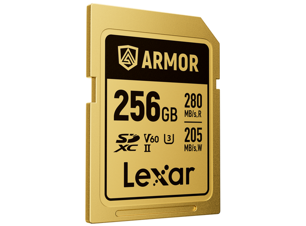 Lexar Armor Gold SDXC UHS-II 256 GB Rustfritt stål, R280/W210 V60 
