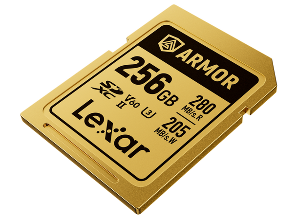 Lexar Armor Gold SDXC UHS-II 256 GB Rustfritt stål, R280/W210 V60 