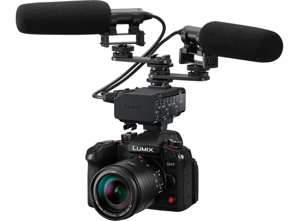 Panasonic DMW-XLR2 XLR-enhet for Panasonic kamera 