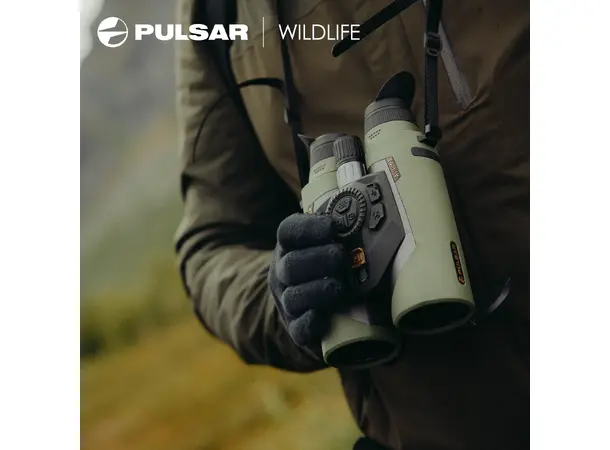 Pulsar Avilume XT50 Pro Wildlife Multispektral kikkert med termisk sensor 