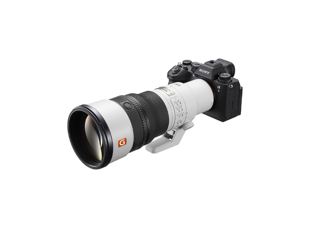 Sony FE 600mm f/6.3 GM OSS E-Mount Fullformat. 