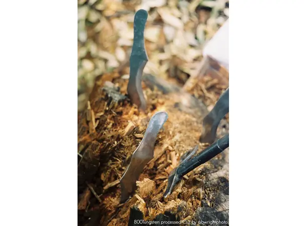 CineStill  Cn2 ''Color Negative'' ECN-2 fremkaller for lavkontrast fargefilm 