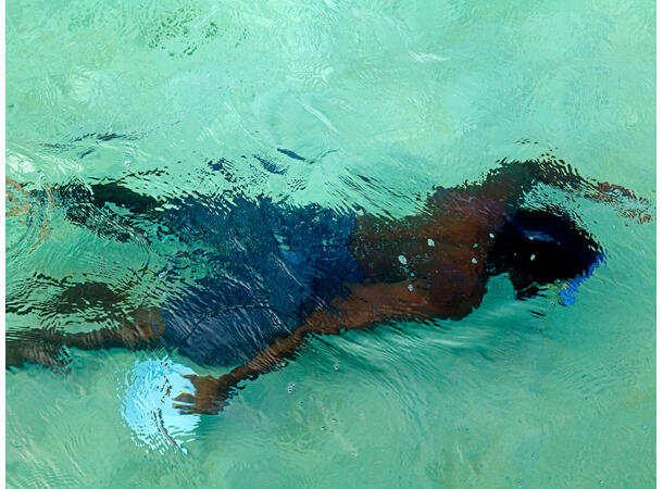 LFI Magazine 3.2026 The World of Leica Photography 