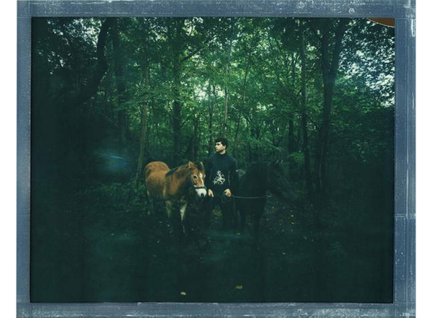 Polaroid Color Film for 8x10 Instant fargefilm til 8x10" 