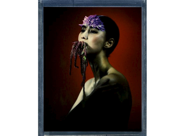 Polaroid Color Film for 8x10 Instant fargefilm til 8x10" 