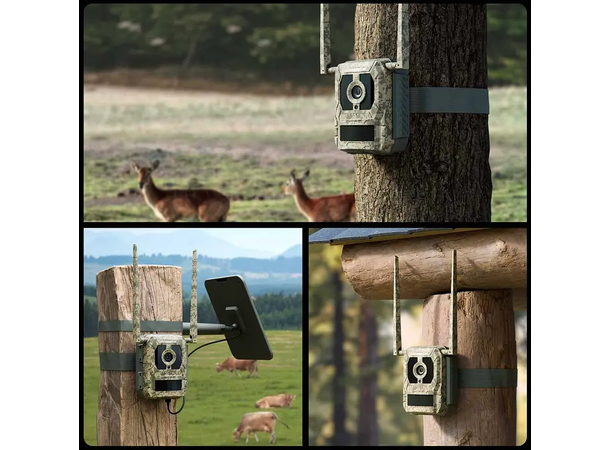 Reolink Camovue Talon Pro Solcelle-kit Pakke med kamera, batteri og solceller 