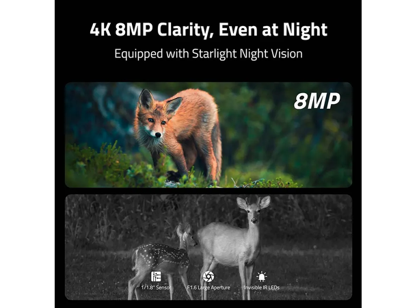 Reolink Camovue Talon Pro Solcelle-kit Pakke med kamera, batteri og solceller 