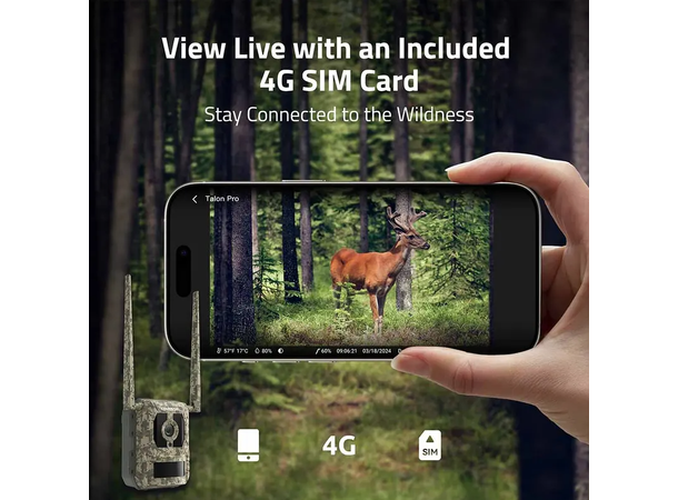 Reolink Camovue Talon Pro Solcelle-kit Pakke med kamera, batteri og solceller 