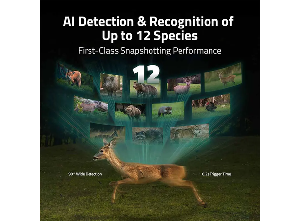 Reolink Camovue Talon Pro Solcelle-kit Pakke med kamera, batteri og solceller 