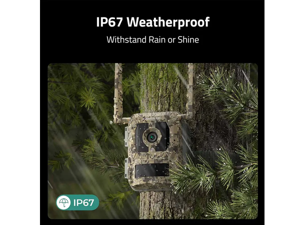 Reolink Camovue Talon Pro Solcelle-kit Pakke med kamera, batteri og solceller 