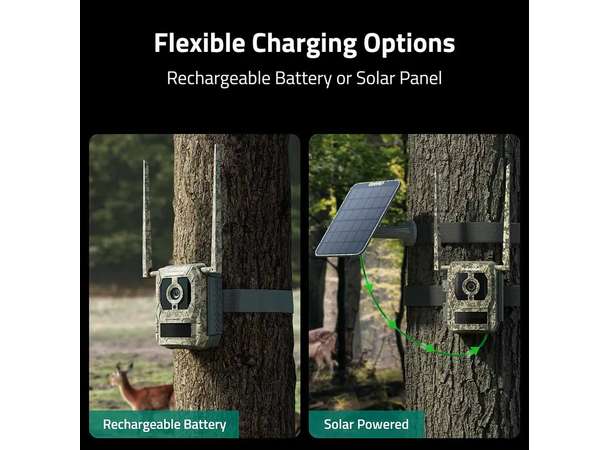 Reolink Camovue Talon Pro Solcelle-kit Pakke med kamera, batteri og solceller 