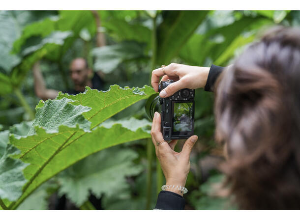 Sony A7C R sort Kompakt størrelse, ekstrem oppløsning 