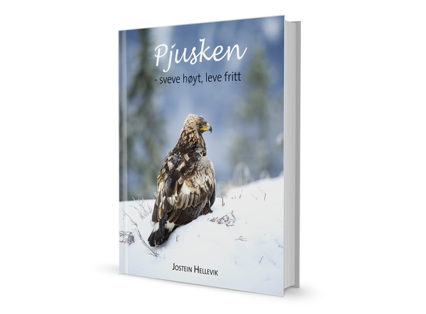 Pjusken - Sveve høyt, leve fritt Jostein Hellevik - boka om ørnen Pjusken