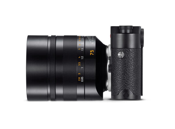 Leica Noctilux-M 75mm f1.25 ASPH Teleobjektiv, Filterfatning E67, Svart 