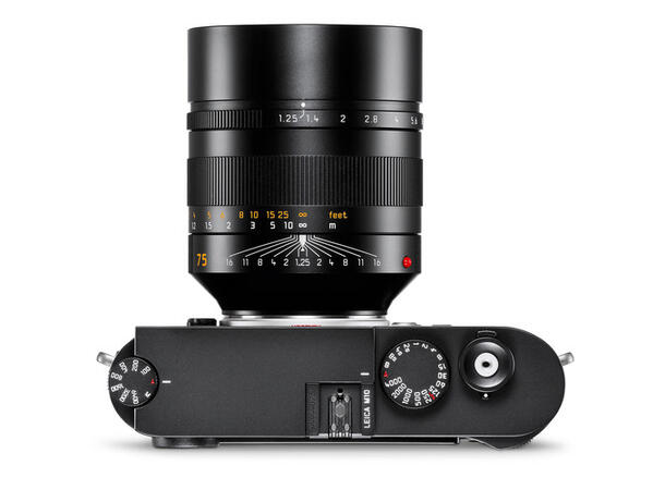Leica Noctilux-M 75mm f1.25 ASPH Teleobjektiv, Filterfatning E67, Svart 