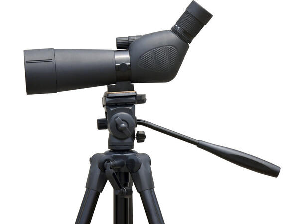 Focus Hawk 20-60 Spottingscope Vanntett spottingscope med tripod