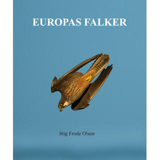 Europas falker Praktbok av Stig Frode Olsen