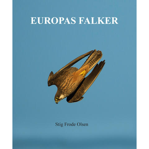 Europas falker Praktbok av Stig Frode Olsen
