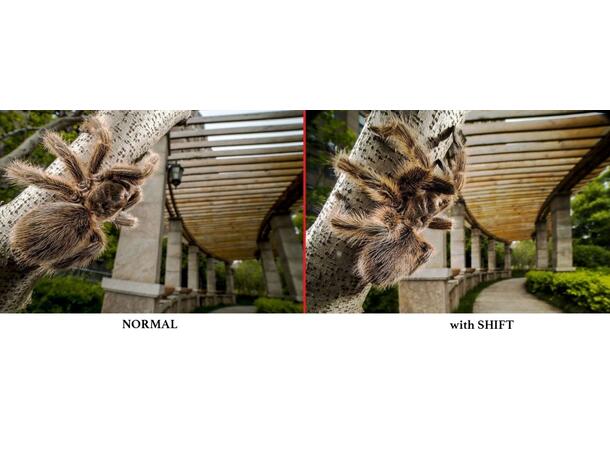 Laowa 15mm f/4 Vidvinkelmacro Canon EF Vidvinkel med 1:1 macro for Canon EF 