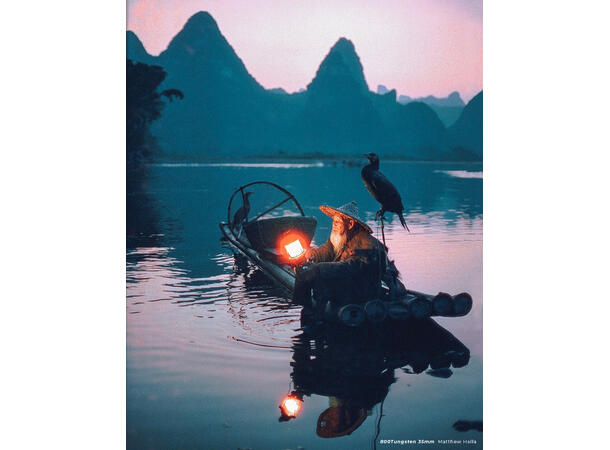 CineStill 800T Tungsten 135-36 Følsom fargefilm, 800 ASA, 36 bilder 