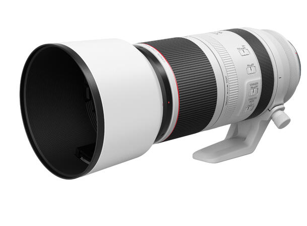 Canon RF 100-500mm f/4.5-7.1 L IS USM Superkompakt telezoom 