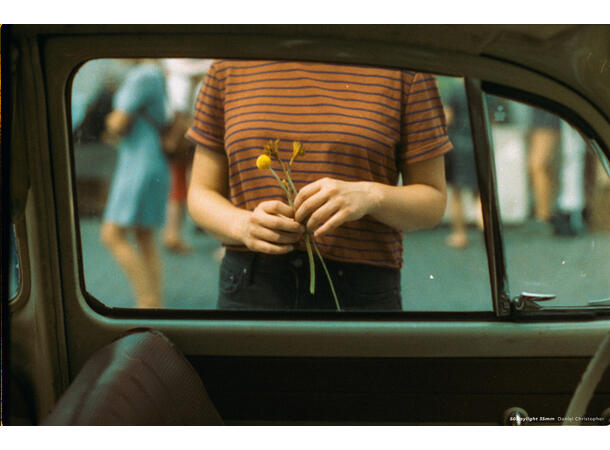 CineStill 50D Daylight 135-36 Finkornet fargefilm, 50 ASA, 36 bilder 