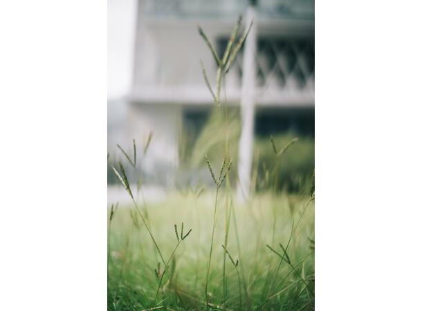 Laowa Argus 33mm f/0.95 CF APO Nikon Z Svært lyssterkt normalobjektiv for APS-C 