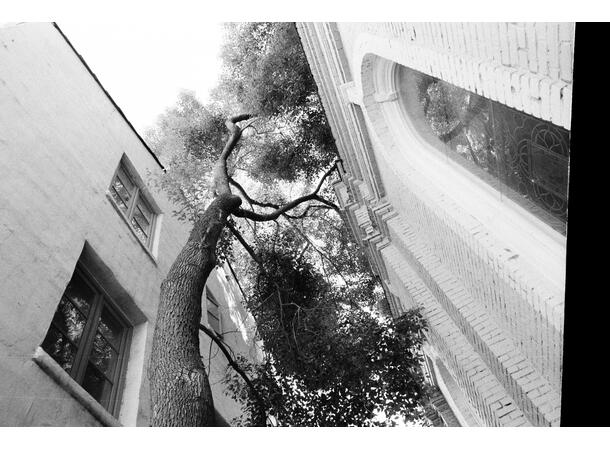 Lomography Berlin Kino B&W 400 135-36 ISO 400, S/H-film, 36 eksp., 2019 ver. 