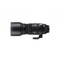 Sigma 150-600mm f/5-6.3 DG DN OS Sony E Lang telezoom for Sony fullformat
