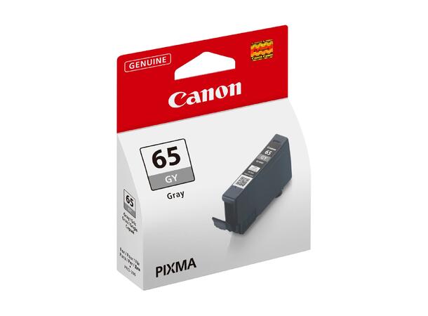 Canon CLI-65GY Gray Pro-200 blekk 
