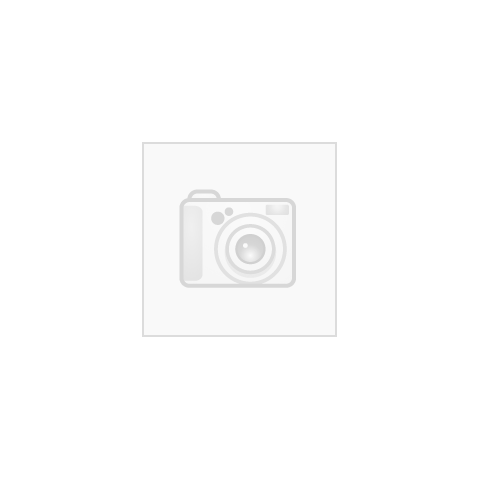 Lexar Gold microSDXC UHS-II UHS-II/C10/A1/U3 R280/W100 (60)
